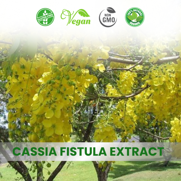Cassia fistula Extract
