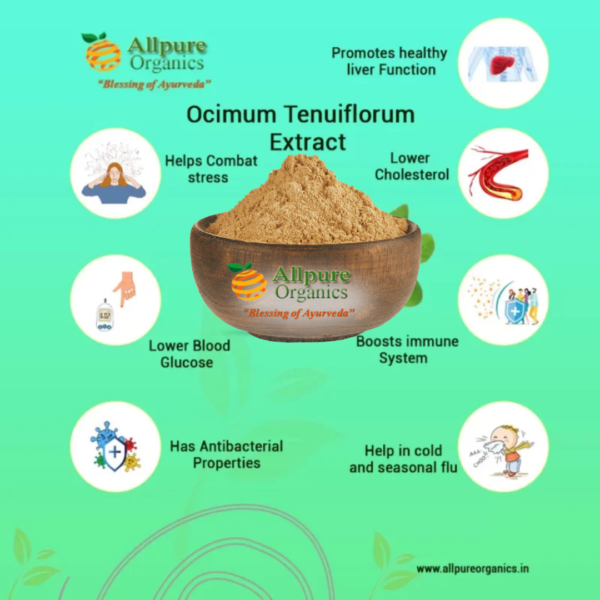 Ocimum Tenuiflorum Extract