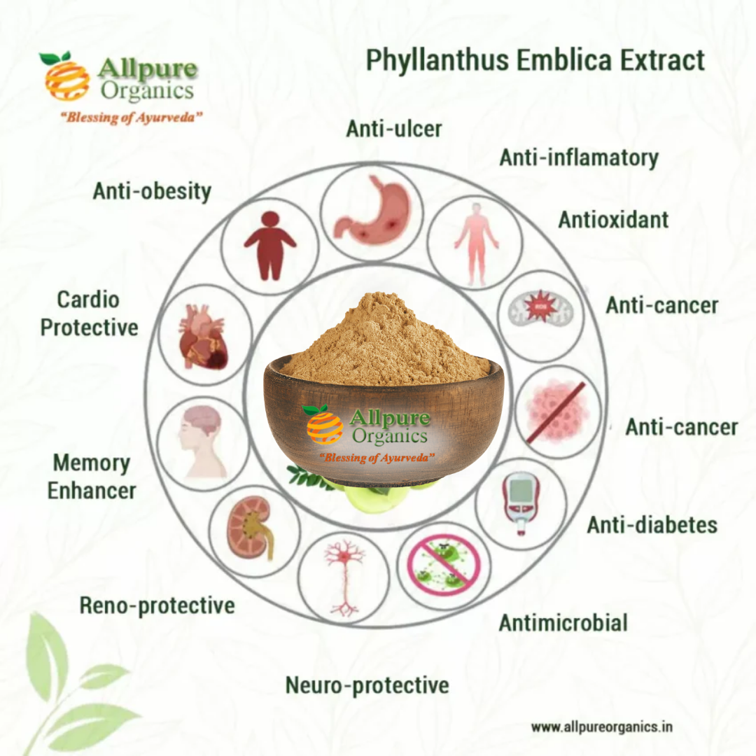 Phyllanthus Emblica Extract