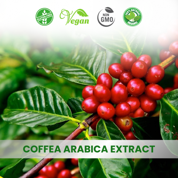 Coffee Arabica extract
