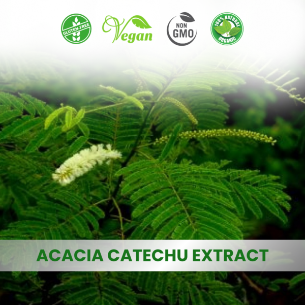 Acacia Catechu Extract