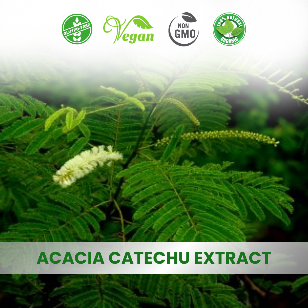 Acacia Catechu Extract