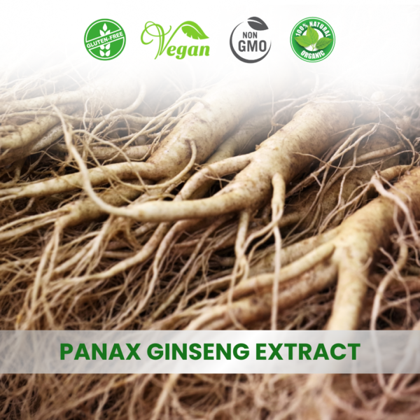 Panax Ginseng Extract (Ginseng)