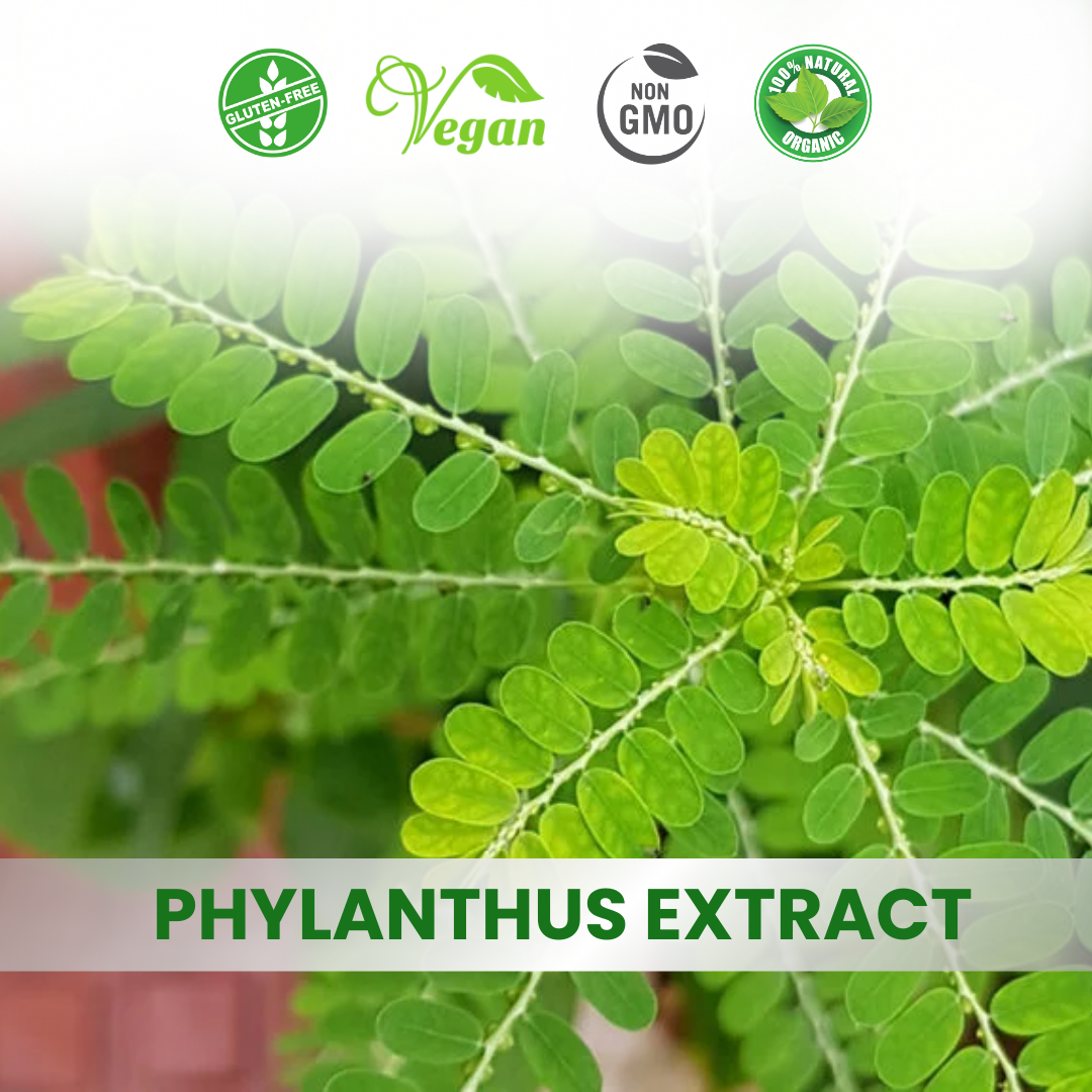 Phyllanthus Emblica fruit Extract