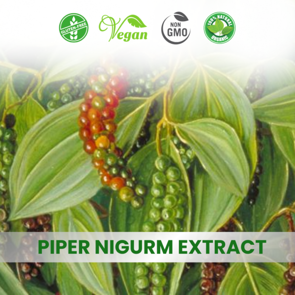 Piper Nigrum Extract
