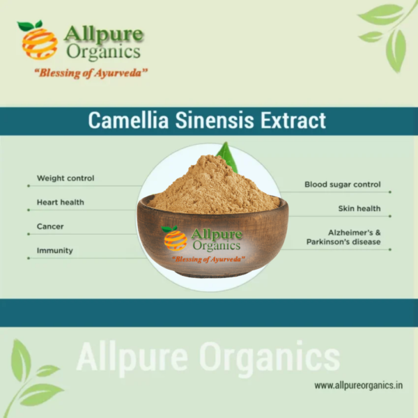 CAMELLIA SINENSIS (GREEN TEA)