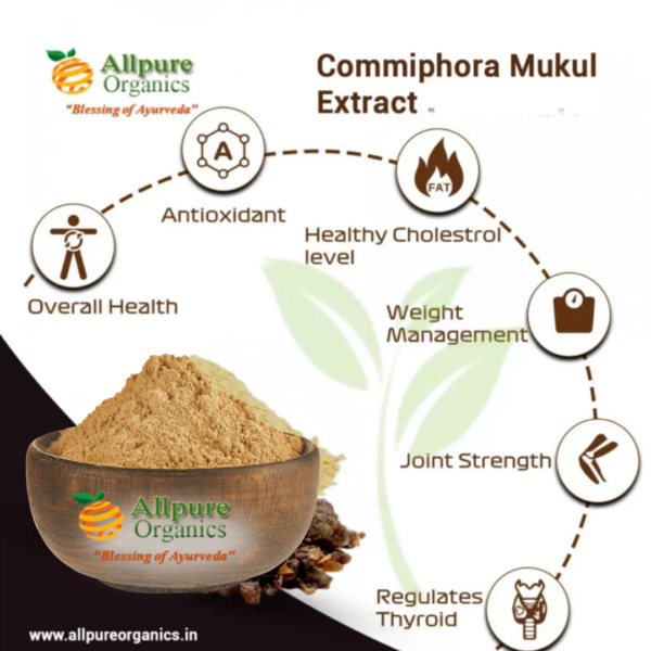 Commiphora Mukul Extract