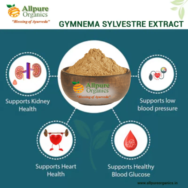 Gymnema Sylvestre Extract