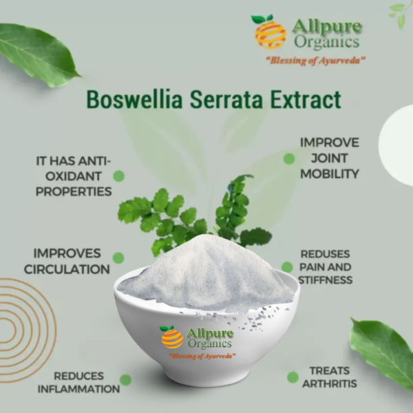 BOSWELLIA SERRATA (SALAI GUGGUL) (Herbal Extracts)