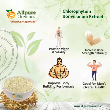 Chlorophytum Borivilianum Extract