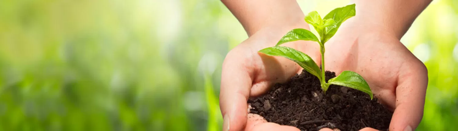 csr-policy-Banner-1500x430