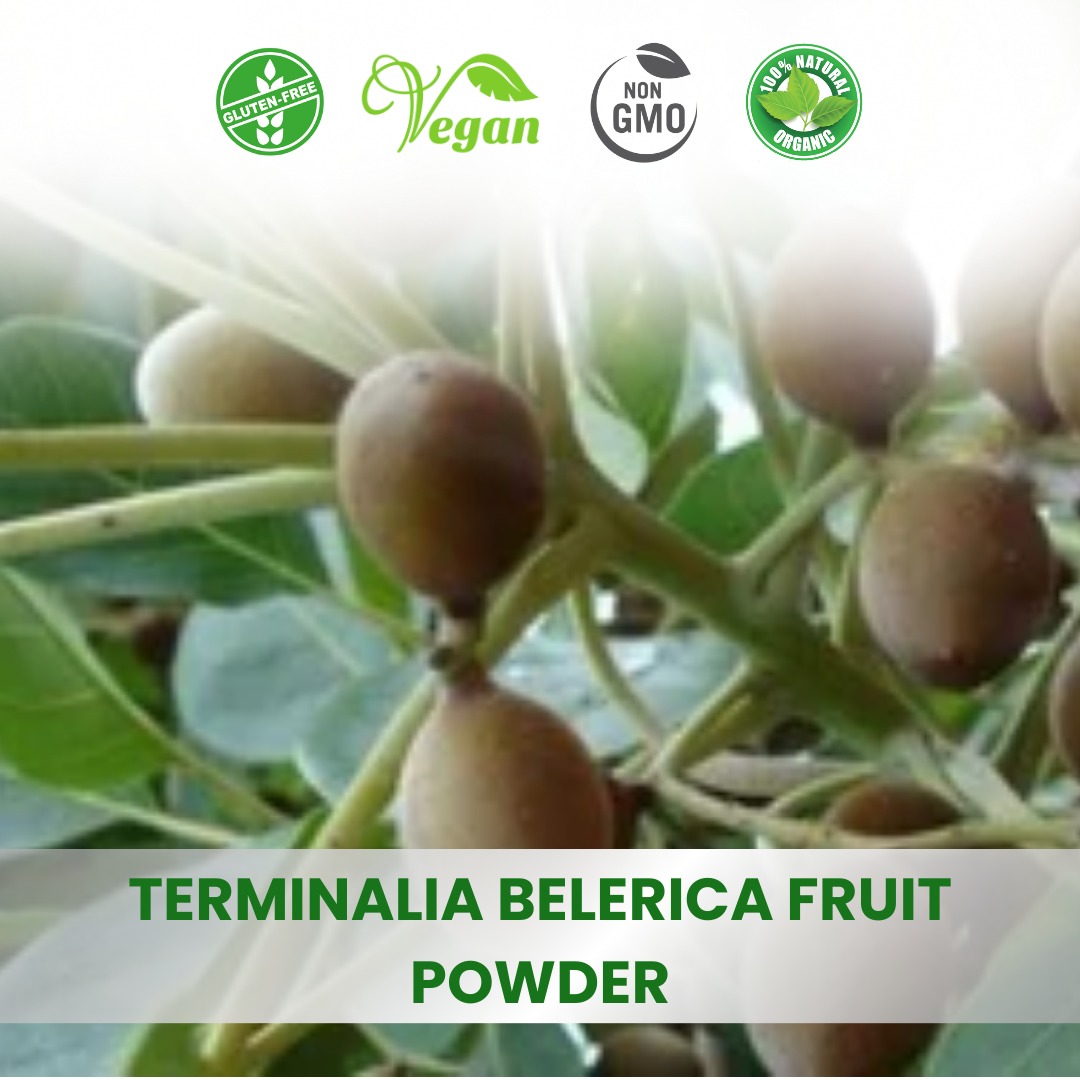 Terminalia Bellirica (Bahera) Extracts