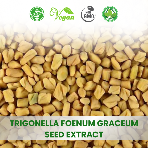 Fenugreek (Trigonella Foenum-graecum)