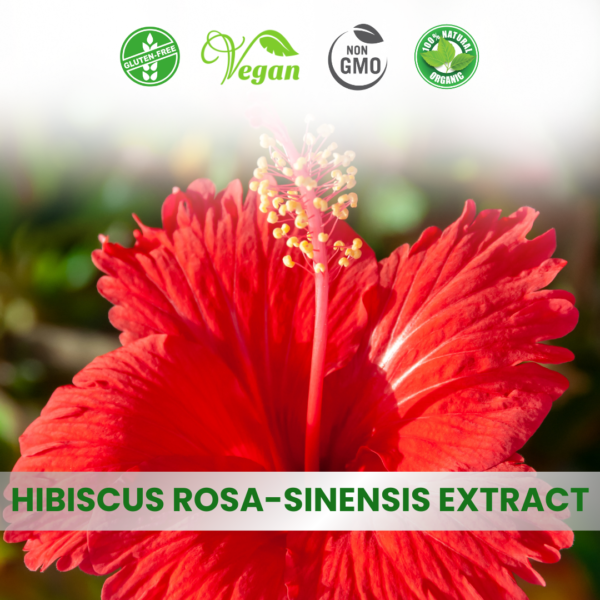 Hibiscus Rosa Sinensis Extract (Gudhal)
