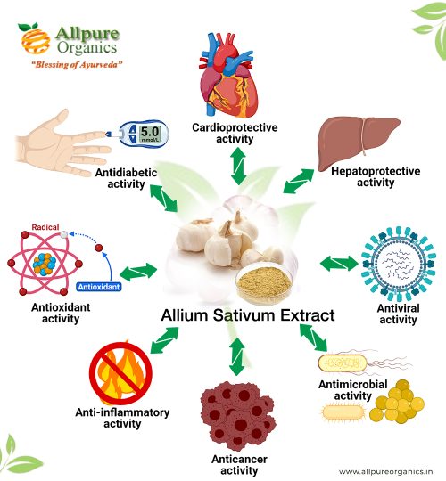 Allium Sativum Extract