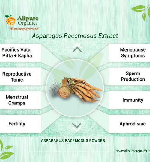 Asparagus Racemosus Extract