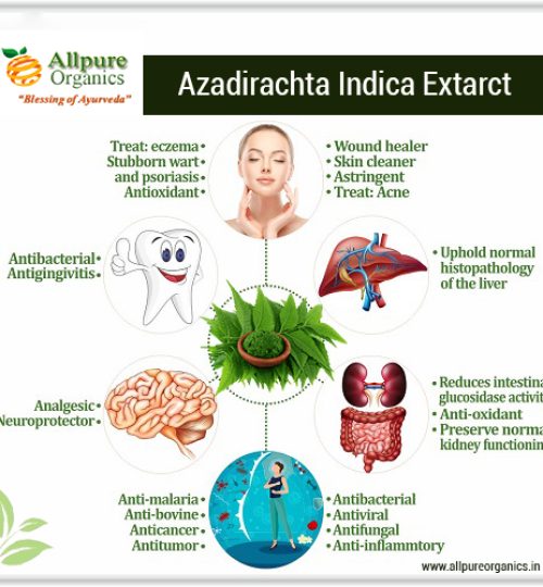 Azadirachta Indica Extarct