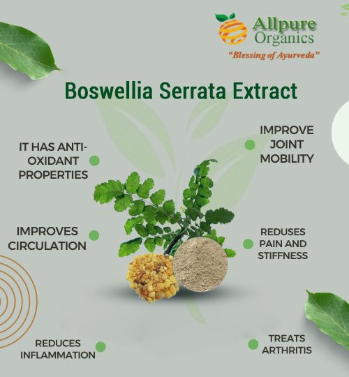 Boswellia Serrata Extract