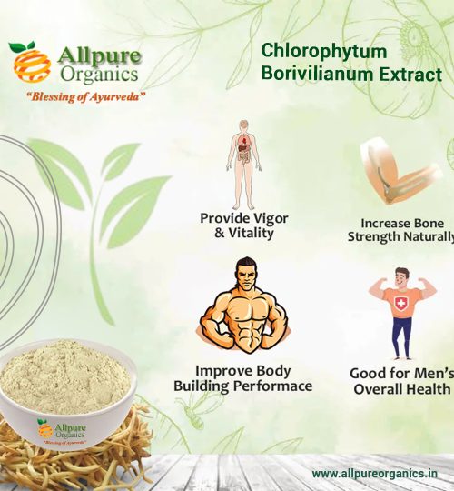 Chlorophytum Borivilianum Extract