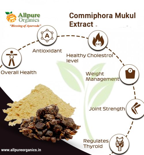 Commiphora Mukul Extract-3