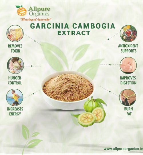 Garcinia Cambogia Extract