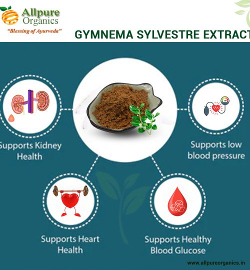 Gymnema Sylvestre Extract