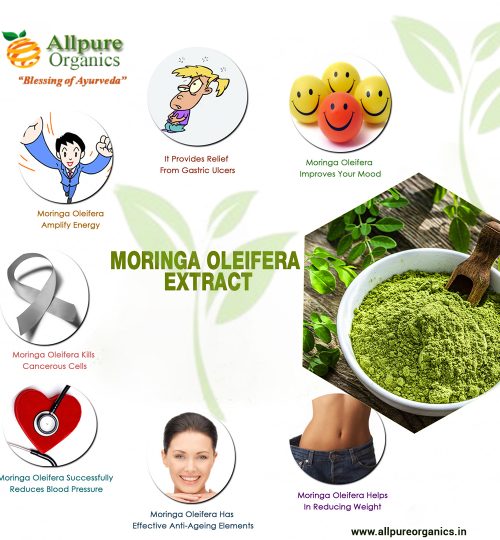 Moringa Oleifera Extract