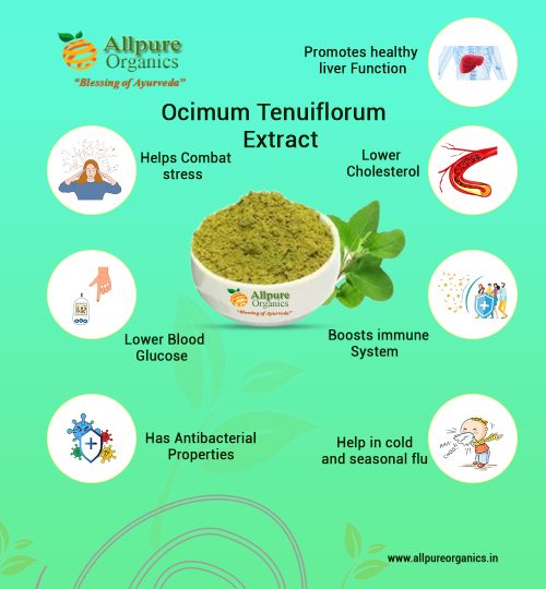 Ocimum Tenuiflorum Extract