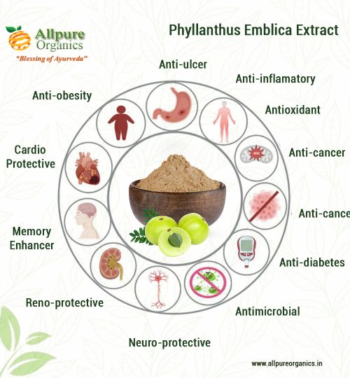 Phyllanthus Emblica Extract