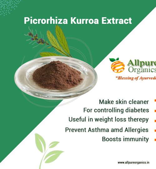 Picrorhiza Kurroa Extract