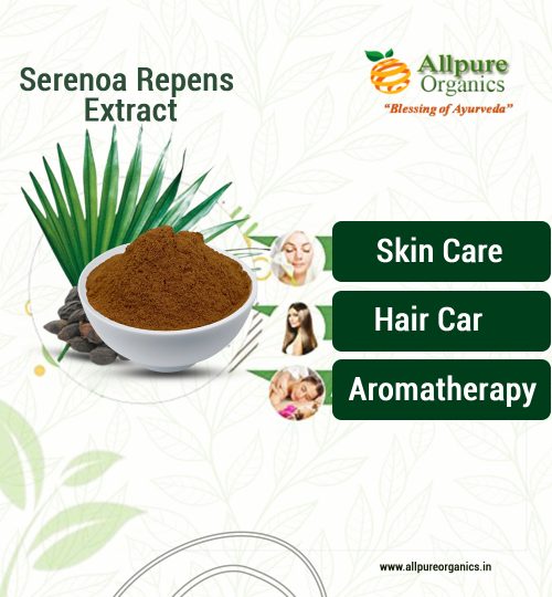 Serenoa Repens
