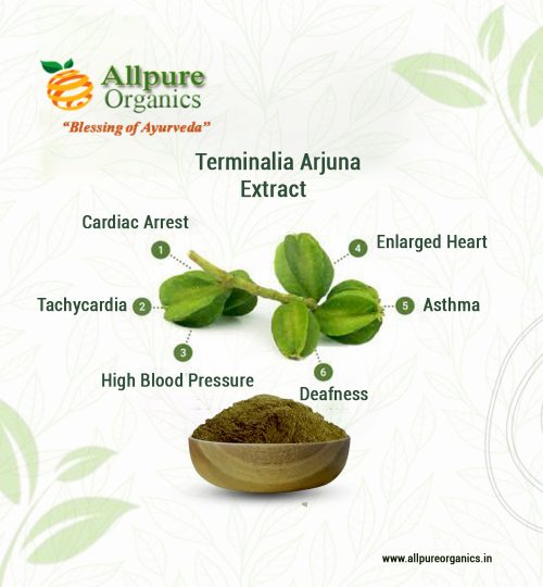 Terminalia Arjuna Extract