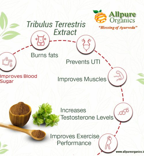 Tribulus Terrestris Extract