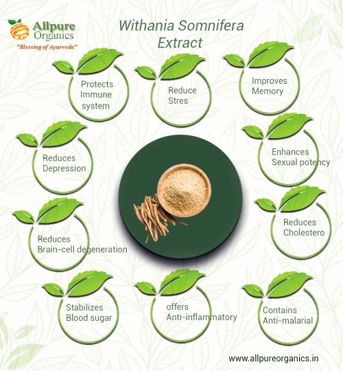 Withania Somnifera Extract