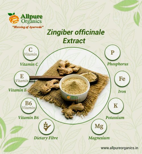 Zingiber officinale Extract