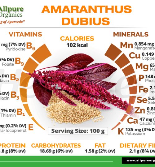 allpureorganics.in